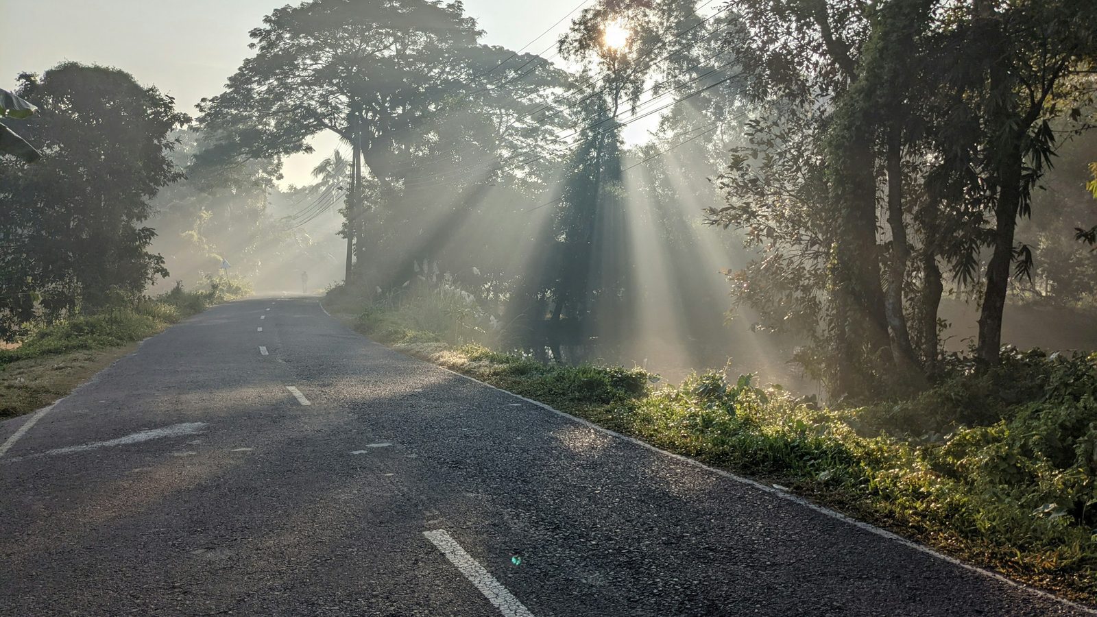 Route de campagne à l'aube, rayons de soleil perçant la brume, symbole de la reconstruction après un accident de la circulation